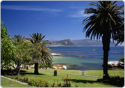 Cheap flights from New york to Cape town